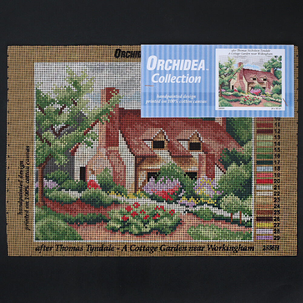 Orchidea 24x30 cm Thomas Nicholson Tyndale A Cottage Garden Near Wokingham Goblen 2856H